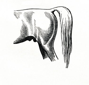 Flat or horizontal croup (from Meyers Lexikon, 1896, 13/770/771)