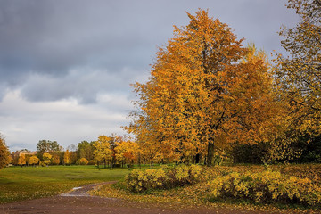 Autumn in the Park city.