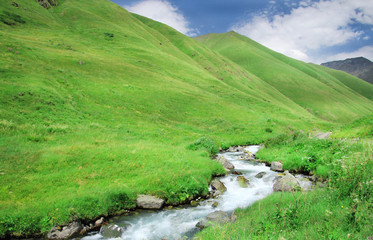 Fototapeta na wymiar Beautiful little mountain stream in green mountains with white foamy silky water