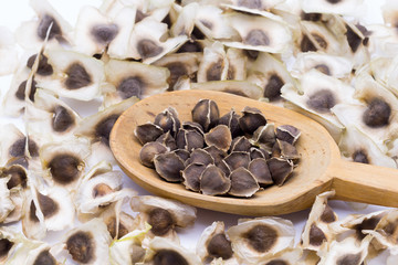 Moringa Oleifera seeds and fruit. The asian herbs have medicinal properties