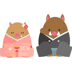 着物を着たいのしし