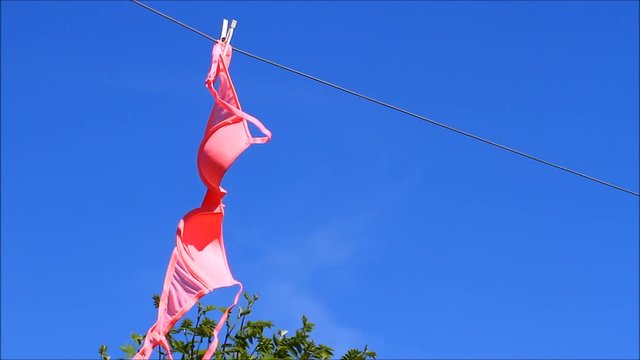 Woman's pink bra drying on a washing line on a sunny windy day 