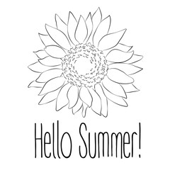 Hello Summer! Sunflower Vector illustration on white background