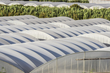 Greenhouses of vegetables in Sicily, Italy
