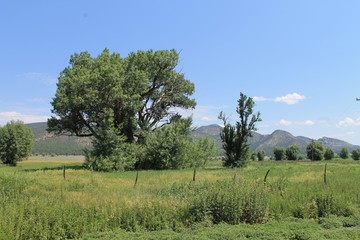 Obraz premium Mountains 