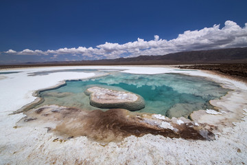 Hidden lagoon Baltinache (Lagunas escondidas Baltinache) Atacama Desert, Chile © sunsinger
