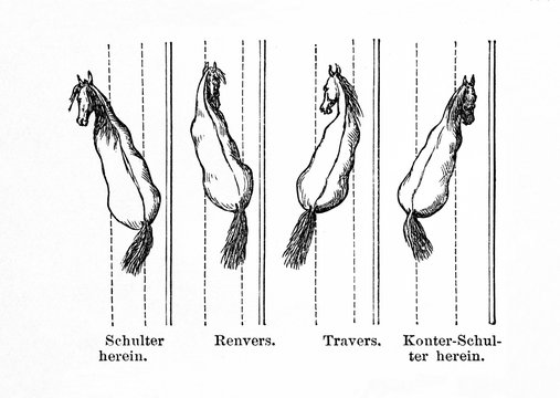 Horse 's way of walking - shoulder-in and out, haunches-in and out (from Meyers Lexikon, 1896, 13/770/771)