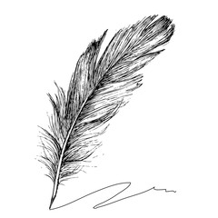 Feather with ink.