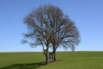 Hochsitz Im Feld