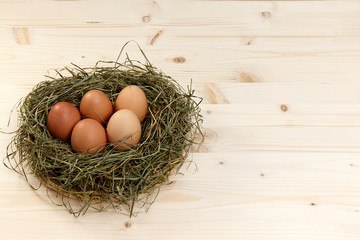 Heu mit braunen Eiern auf Holz aus Fichte