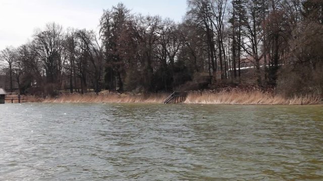 Seeufer mit Schilfrohr