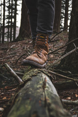 Man with perfect hikinng boots standing on the fallen tree with forest on background. Close up photo of iluminated shoes.