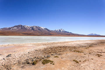 Laguna Hedionda view, Bolivia