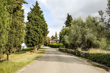 Fototapeta na wymiar Summer road background in tuscany 
