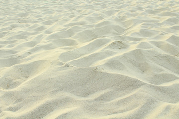 Beautiful shell sand on the beach. Close-up. Background. Texture.
