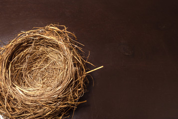 Horizontal shot of a bird's nest in the lower left hand corner of the shot.  Brown background.  Copy space.