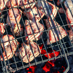 Barbeques on charcoal, shish kebab, grill closeup. Food cooking outdoor