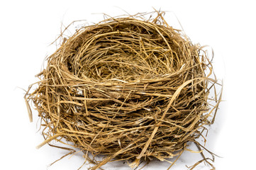 Horizontal shot of an empty bird's nest close-up on a white background.
