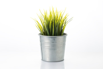 metal garden pots with plants isolated with white background