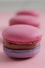 Cherry-blueberry macaroons on pink background