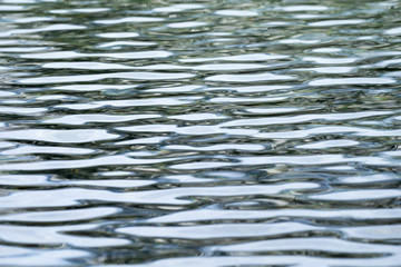 Wellen auf dem See