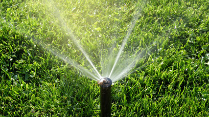 watering lawn smart garden activated with full automatic sprinkler irrigation system working early in the morning in green park  - obrazy, fototapety, plakaty
