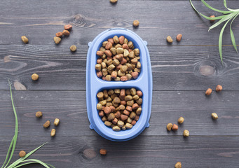 Pet food for dog or cat in bowl on wooden background top view flat lay copy space