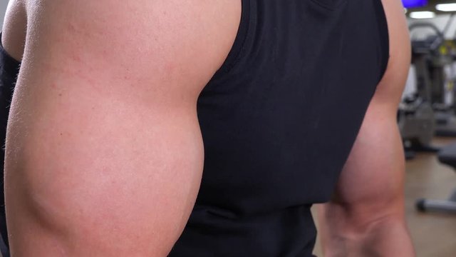 Closeup on a fit man's flexed biceps in a gym