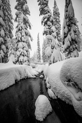Stream in a winter storm