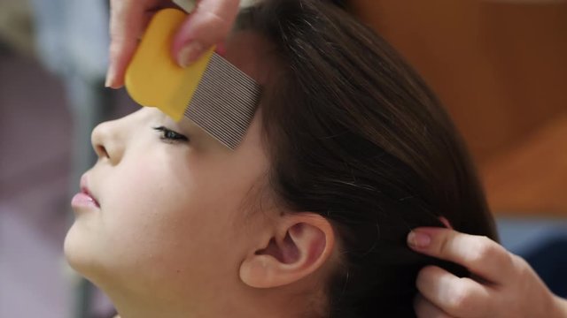 Mother treating her daughter's hair against lice