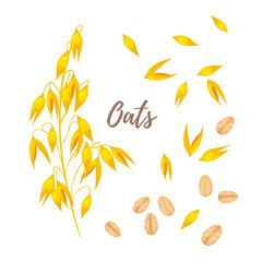 cereals - oats, oatmeal and seeds