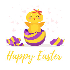 Easter chick hatched from egg