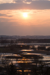 Rozlewiska Narwii z lotu ptaka