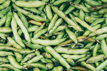 Texture background of green harvest of beans, top view