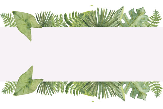 Watercolor jungle banner with tropical leaves for invitations and greeting cards