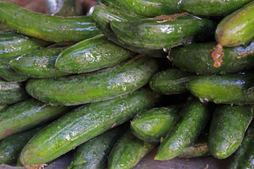 cucumbers in the market