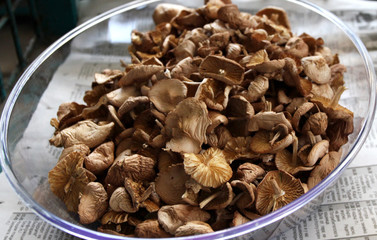 bowl of mushrooms
