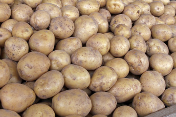 potatoes on the market