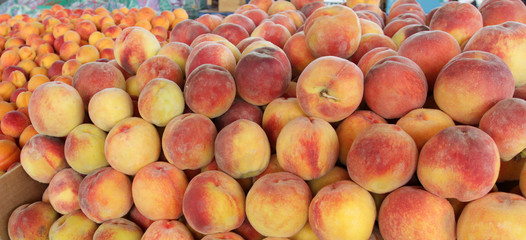 Peaches. Fresh organic peaches on an market, fruits background. Peach and nectarine texture pattern. Healthy food. Fresh organic peaches. 