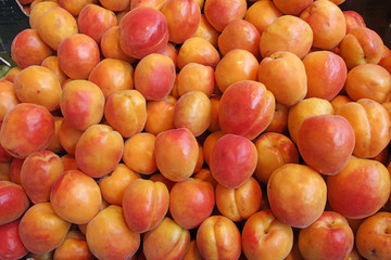 apricots at the market