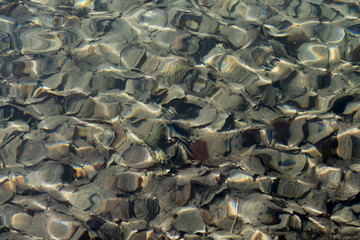 Blick auf den Grund eines Sees