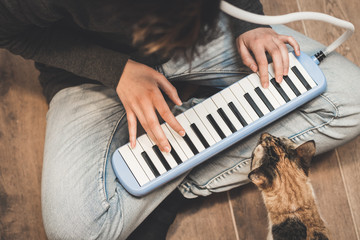 Someone is playing the melodica in horizontal position while a cat observes close to the keyboard.