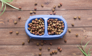Pet food for dog or cat in bowl on wooden background top view flat lay
