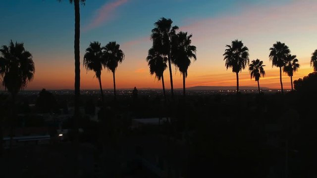 Palm Trees Silhouette Sunset California Drone