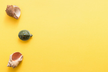 Summer concept with seashells and starfish on pastel yellow background top view flat lay copy space