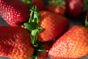 Frische erdbeere