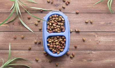 Pet food for dog or cat in bowl on wooden background top view flat lay
