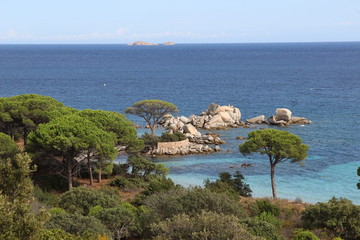 Corsica