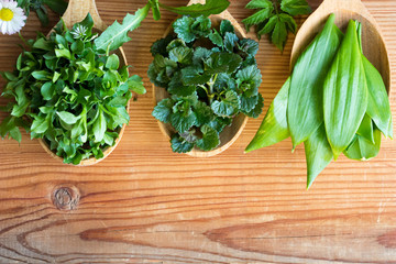 Wild edible spring herbs on three wooden spoons