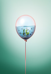 Silver fishes swimming in water minimal concept inside balloon. Flying balloon copy space idea with angelfish swimming on green background